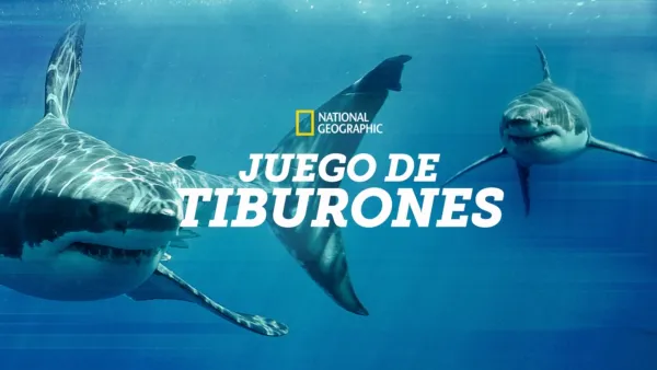 thumbnail - Juego de Tiburones