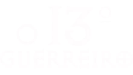 O 13º guerreiro