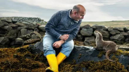 Billy & Molly: An Otter Love Story