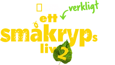 Ett verkligt småkryps liv