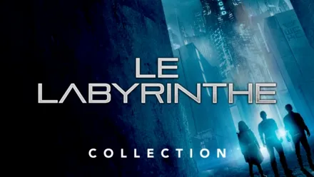 thumbnail - Le Labyrinthe