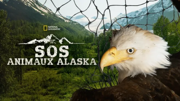 thumbnail - SOS Animaux Alaska