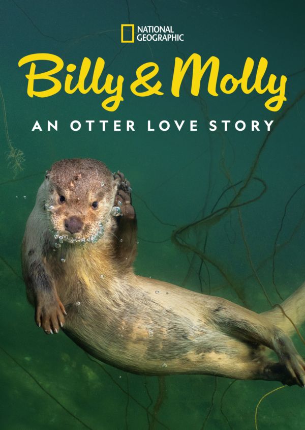 Billy & Molly: An Otter Love Story on Disney+ in America