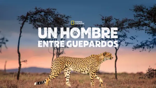 thumbnail - Un hombre entre guepardos
