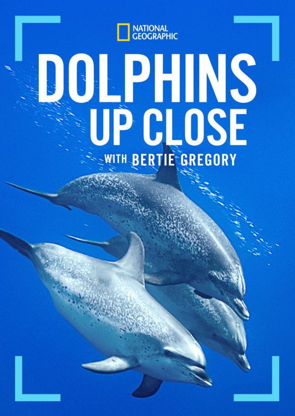Dolphins Up Close with Bertie Gregory on Disney+ AU