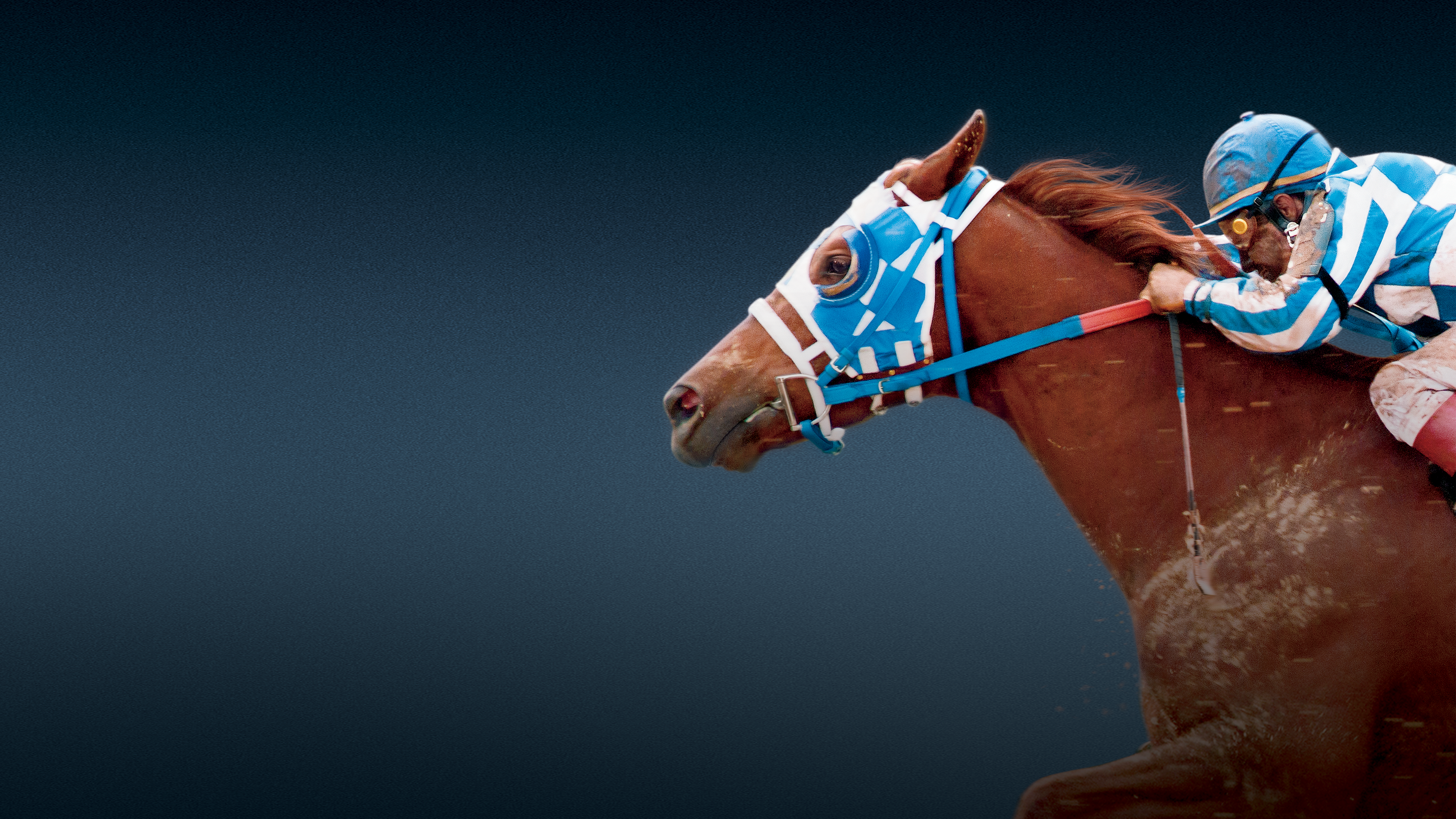 Secretariat – Ein Pferd wird zur Legende