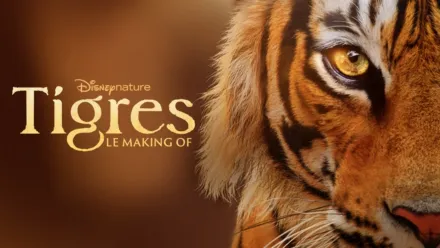 thumbnail - Tigres : le making of