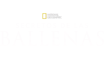 Secretos de las ballenas