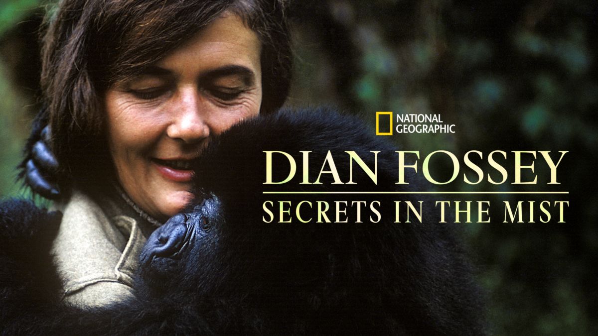 Dian fossey презентация