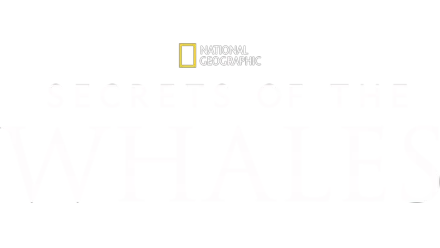 Secrets of the Whales