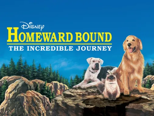 Watch Homeward Bound The Incredible Journey Disney