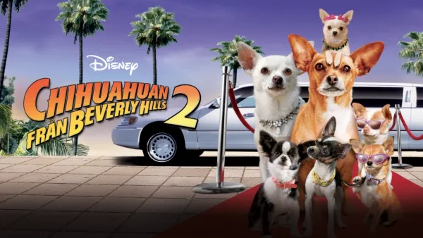 thumbnail - Chihuahuan från Beverly Hills 2