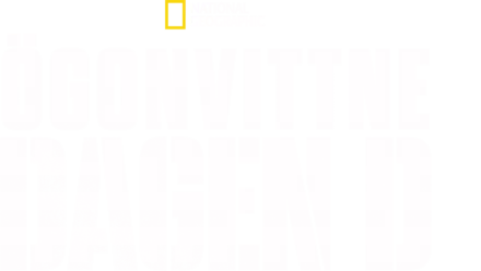 Ögonvittne: Dagen D