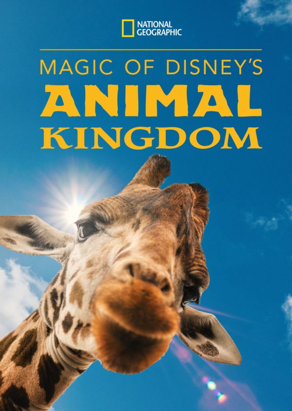 Magic of Disney's Animal Kingdom on Disney+ UK