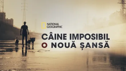 thumbnail - Câine imposibil: O nouă șansă