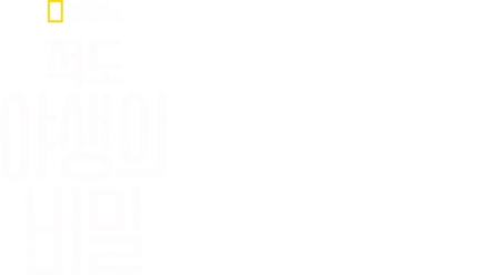 적도 야생의 비밀