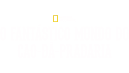 O Fantástico Mundo do Cão-da-Pradaria