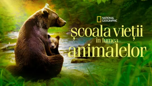 thumbnail - Școala Vieții În Lumea Animalelor