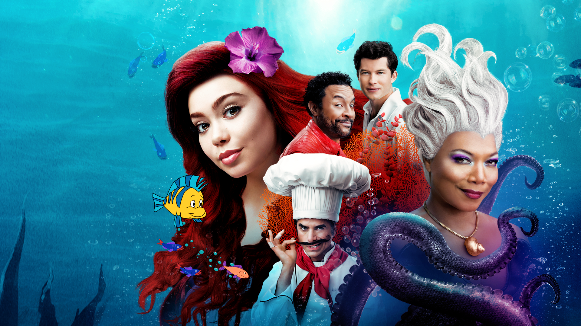 Disneys Wunderbare Welt Präsentiert Arielle, die Meerjungfrau Live!