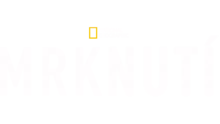 Mrknutí