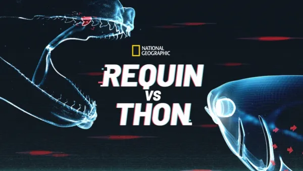 thumbnail - Requin VS Thon