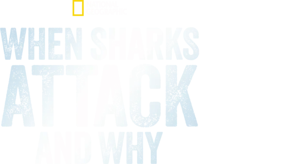 Watch When Sharks Attack... And Why | Disney+