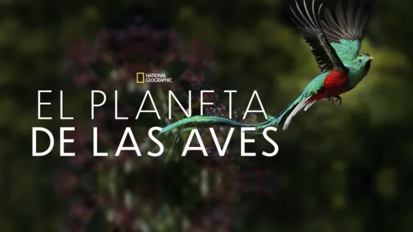 thumbnail - El Planeta de las Aves