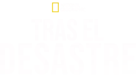 Tras el desastre