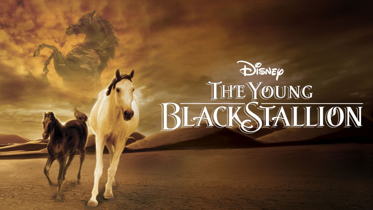 Watch The Young Black Stallion | Full movie | Disney+