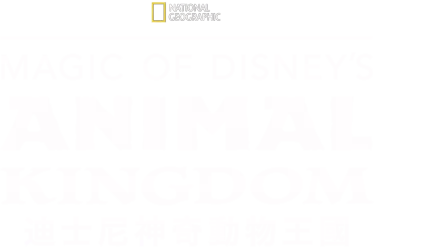 Magic of Disney’s Animal Kingdom《迪士尼神奇動物王國》