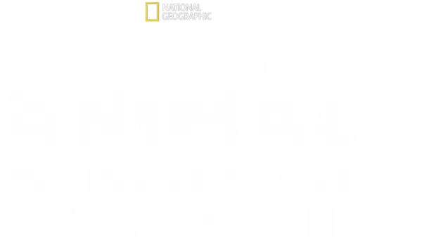 Magic of Disney’s Animal Kingdom《迪士尼神奇動物王國》