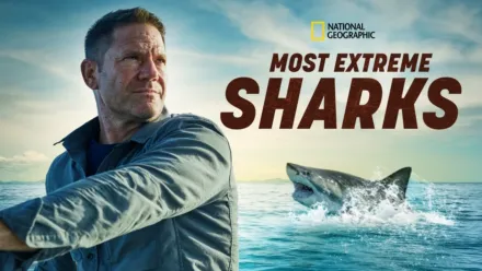 thumbnail - Most Extreme Sharks