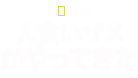 人食いザメがやってきた