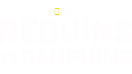 Requins vs Dauphins