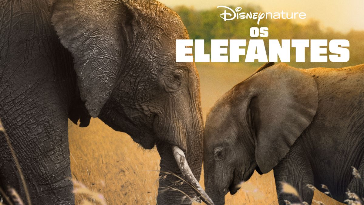 Ver Os Elefantes Filme completo Disney+