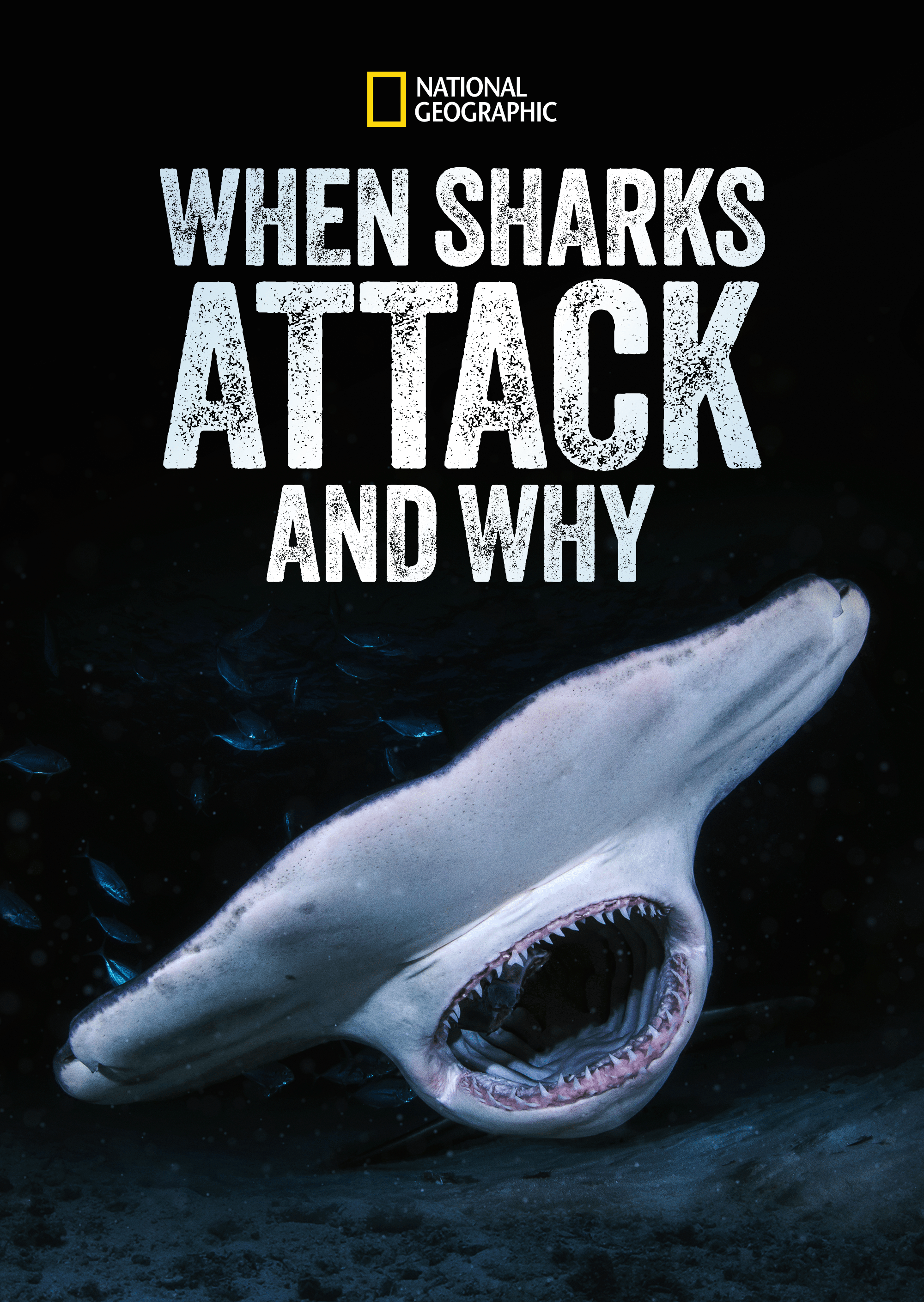 Watch When Sharks Attack... And Why | Full Episodes | Disney+