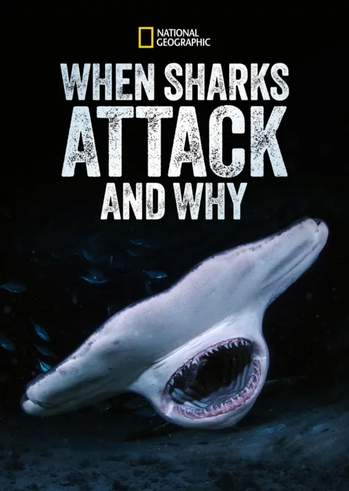 Watch When Sharks Attack... And Why | Full episodes | Disney+