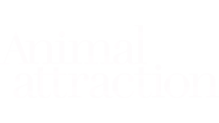 Animal Attraction