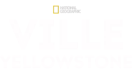 Ville Yellowstone