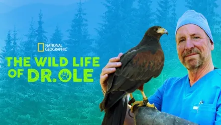 thumbnail - The Wild Life of Dr. Ole