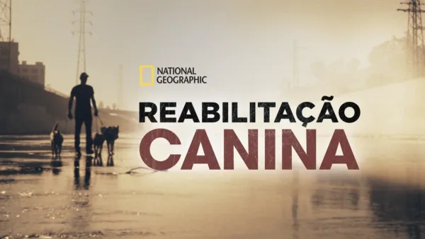 thumbnail - Reabilitação Canina