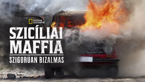 thumbnail - Szicíliai maffia: szigorúan bizalmas