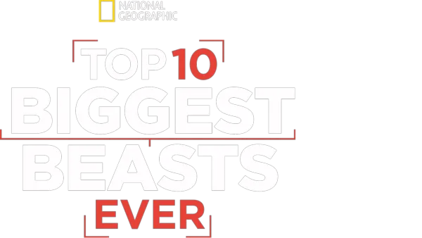 Top 10 Biggest Beasts Ever
