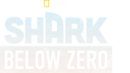 Shark Below Zero