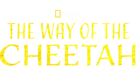 The Way of the Cheetah