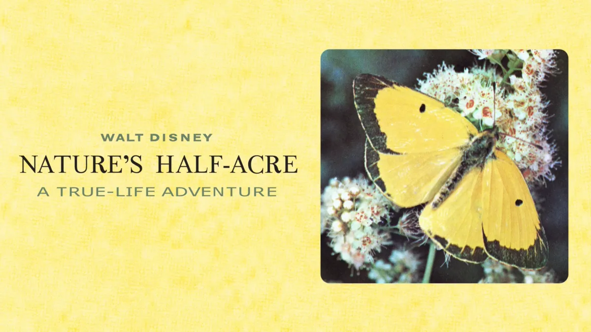 Watch Nature's Half Acre | Disney+