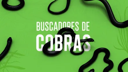 thumbnail - Buscadores de cobras