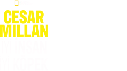 Cesar Millan: İyi İnsan, İyi Köpek