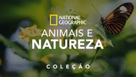 thumbnail - National Geographic: Animais e Natureza