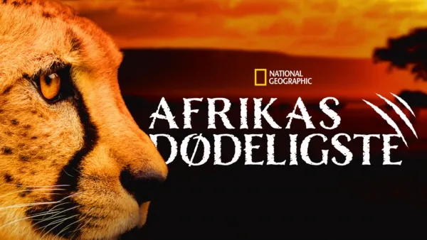 thumbnail - Afrikas dødeligste